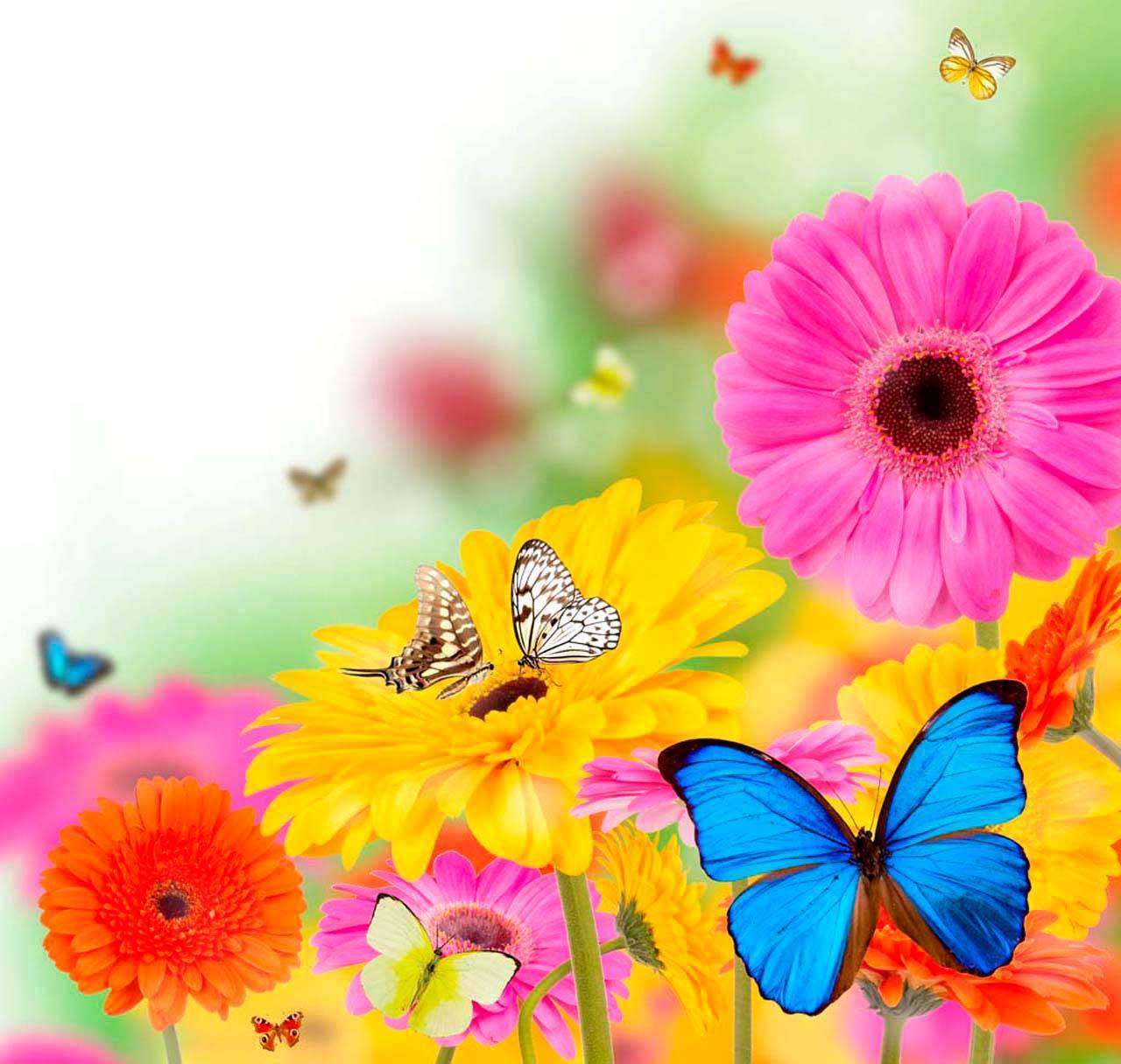 Фотообои в интерьере яркий букет и бабочки  4-104 фото