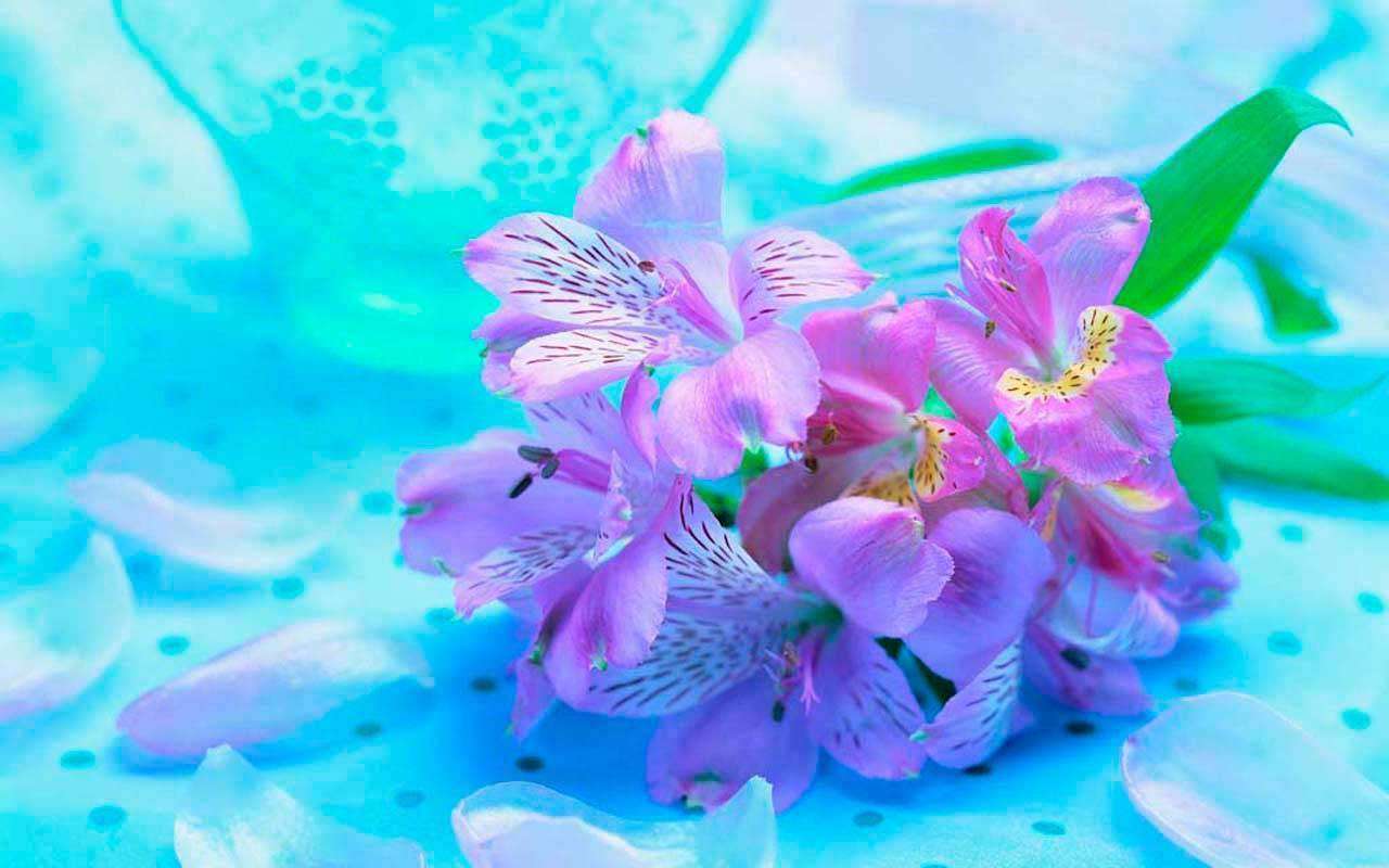 Фотообои в интерьере сиреневый цветок на голубом фоне  3-194 фото