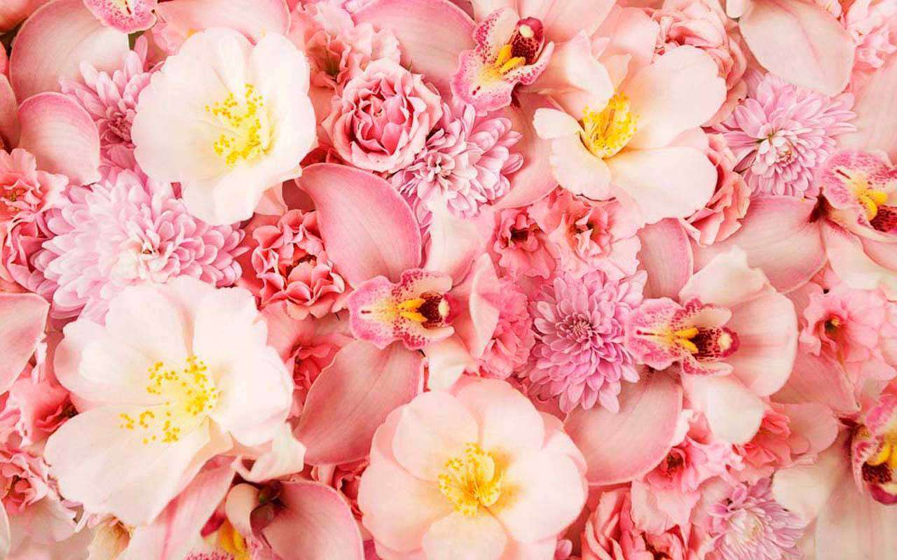 Фотообои в интерьере полевые цветы нежно розовые и желтые  3-160 фото