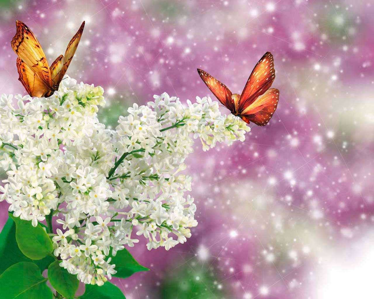 Фотообои в интерьере белый цветы и бабочки  4-094 фото