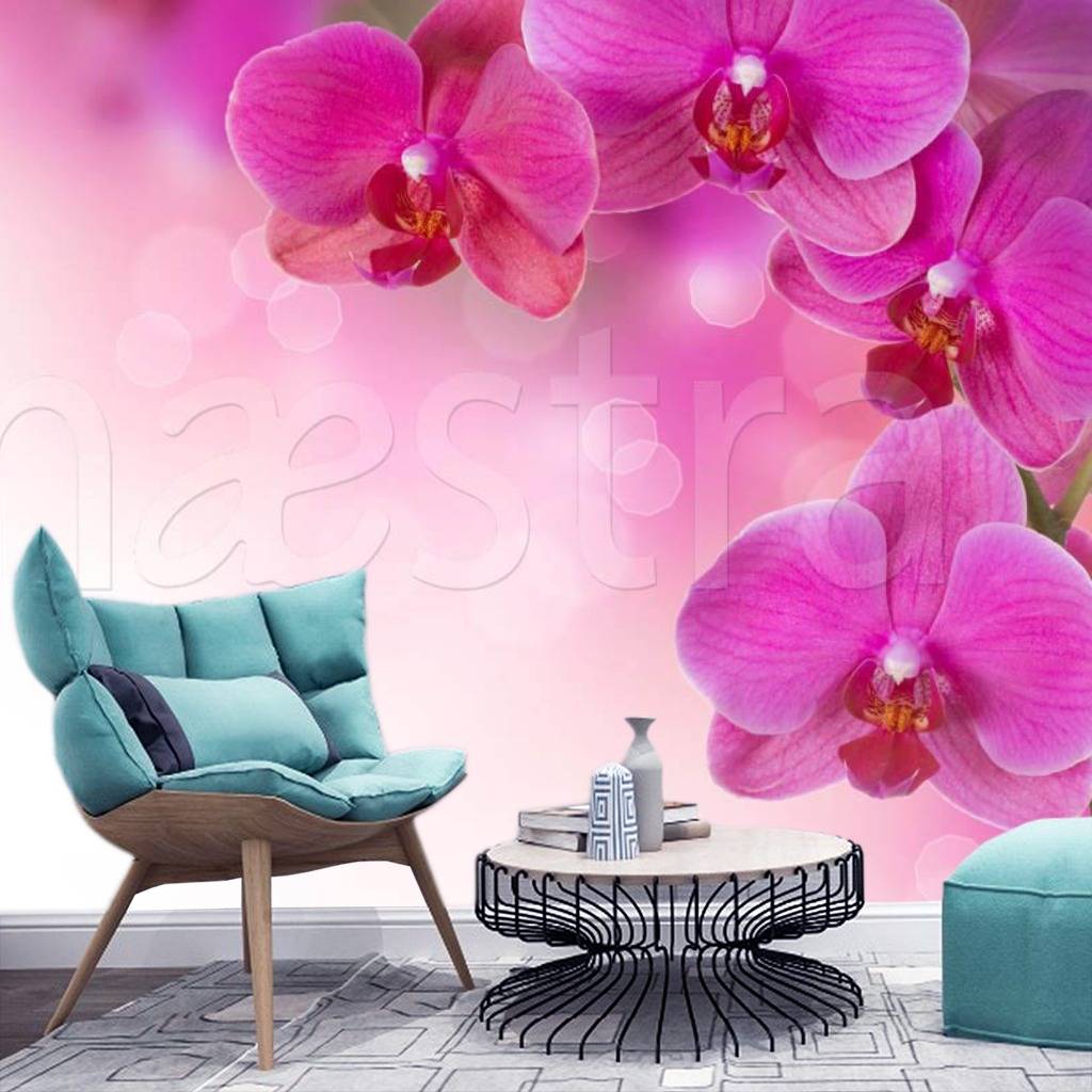 Фотообои Крупные цветы розовой орхидеи  3-197