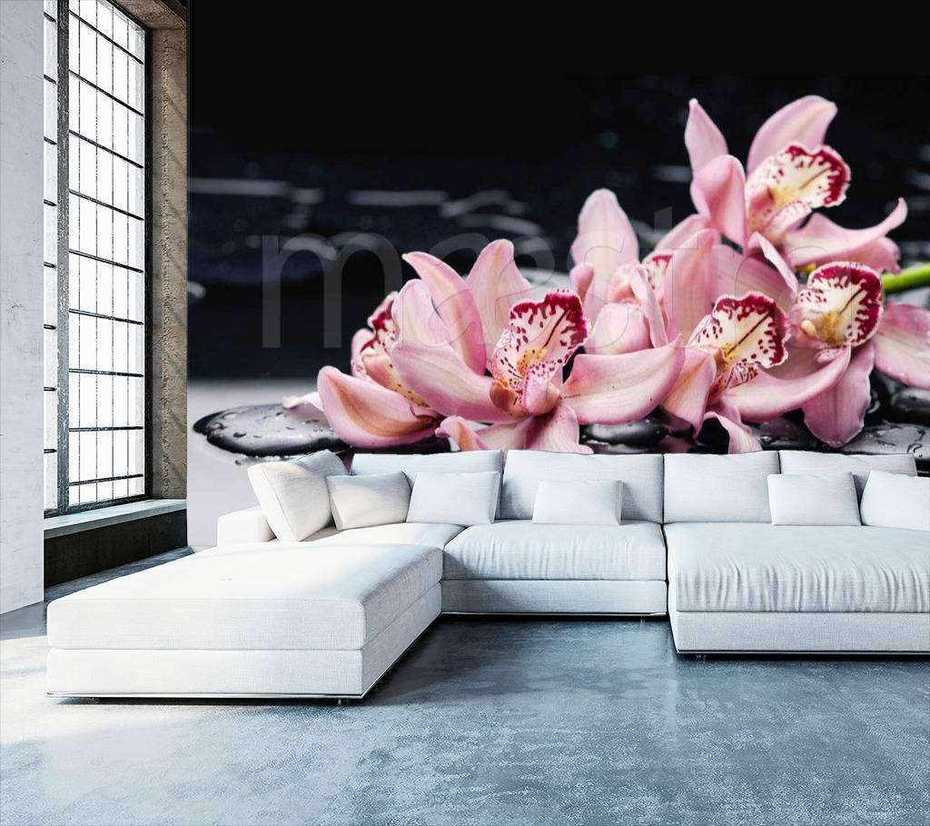 Фотообои Орхидея на черном фоне  10-220