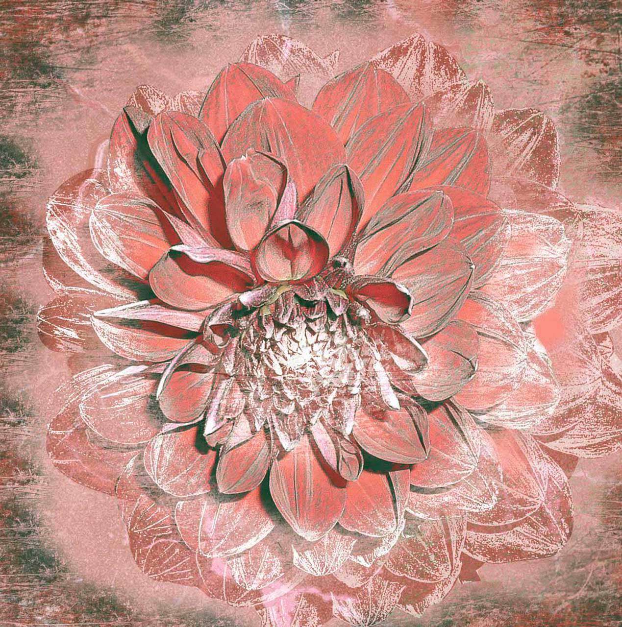 Фотообои в интерьере розовые арт цветы  3-150 фото