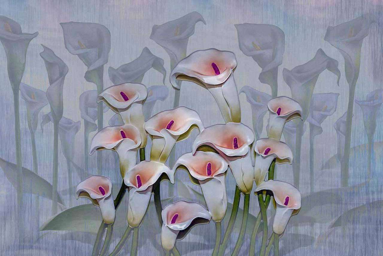 Фотообои в интерьере каллы на сером фоне  7-435 фото