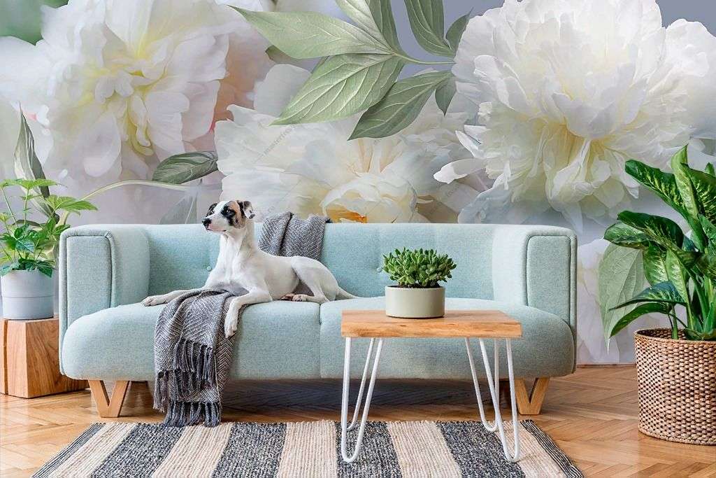 Фотообои в интерьере белые цветущие пионы  13-336 фото