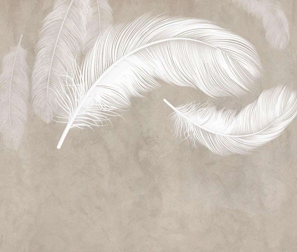 Фотообои в интерьере белое перышко  14-302 фото