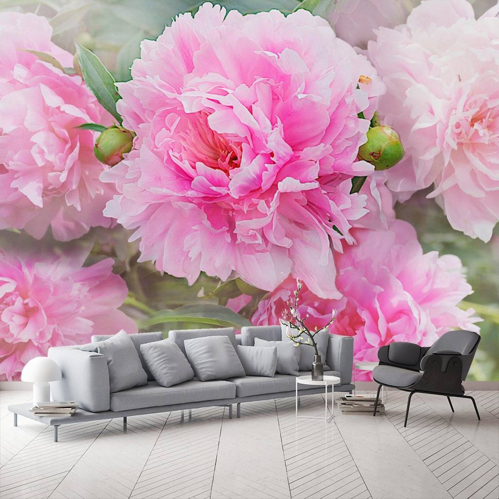 Фотообои 3д пионы розовые  13-241