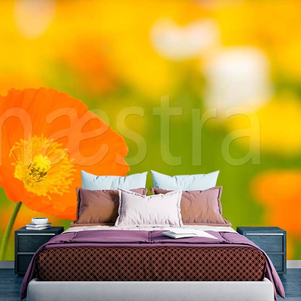 Фотообои Оранжевый цветок в поле 3 d  3-164