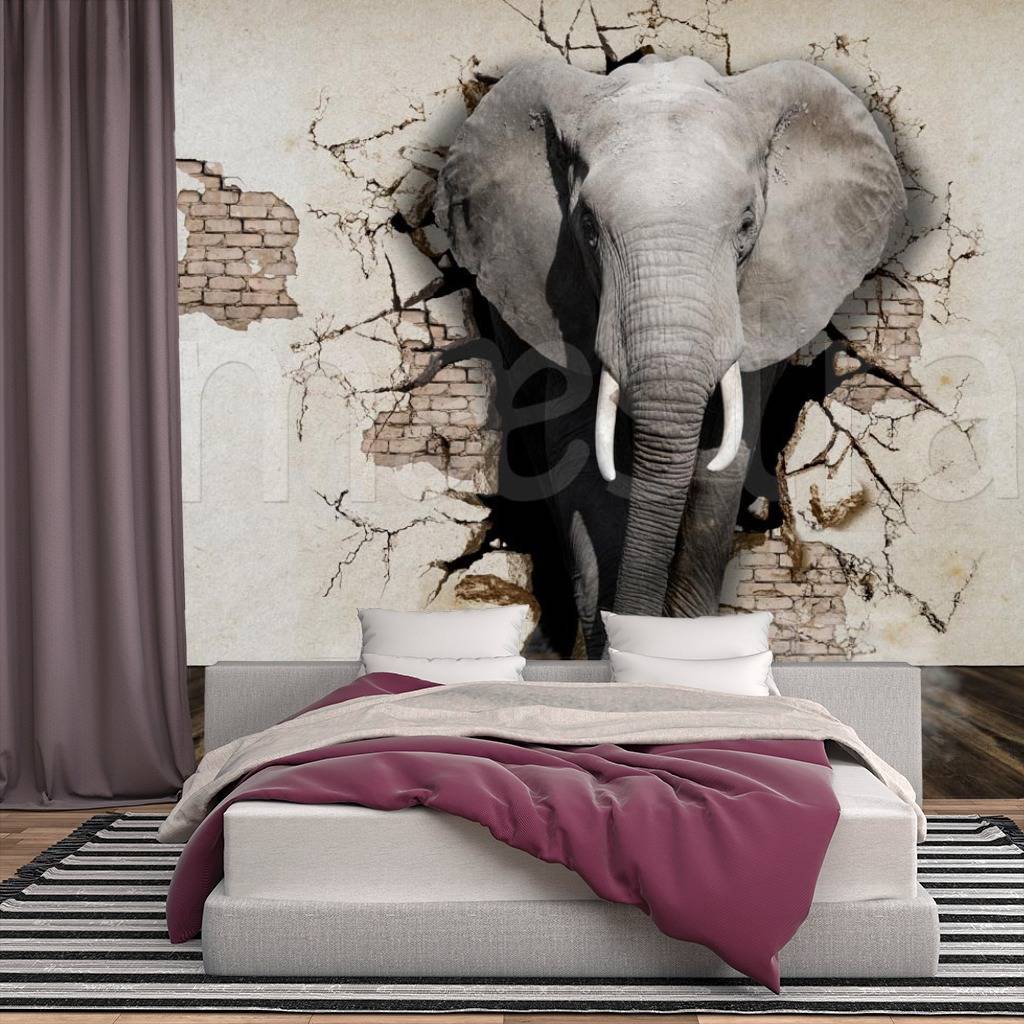 Фотообои Слон выходит из стены  10-545