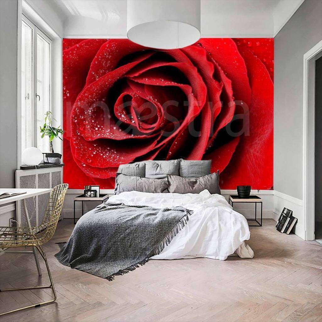 Фотообои Красная роза с каплями росы видная  10-278