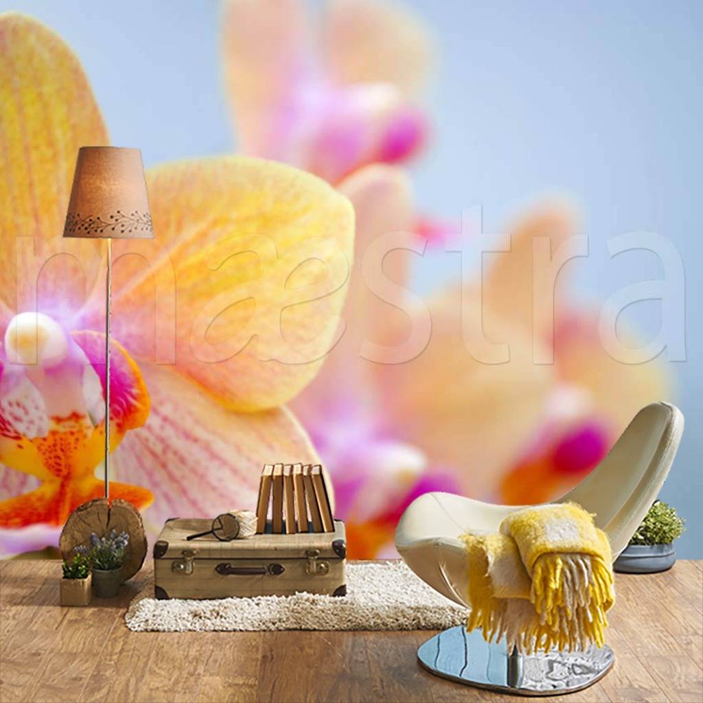 Фотообои Разноцветная композиция  3-165