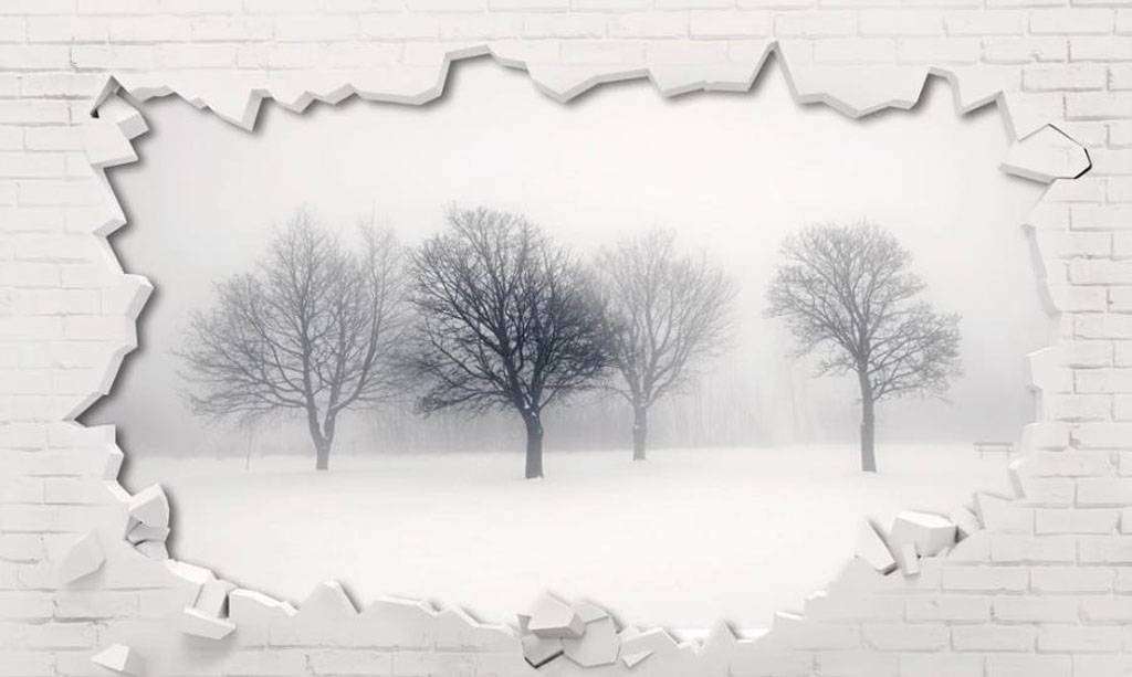 Фотообои в интерьере лес в стене  15-741 фото