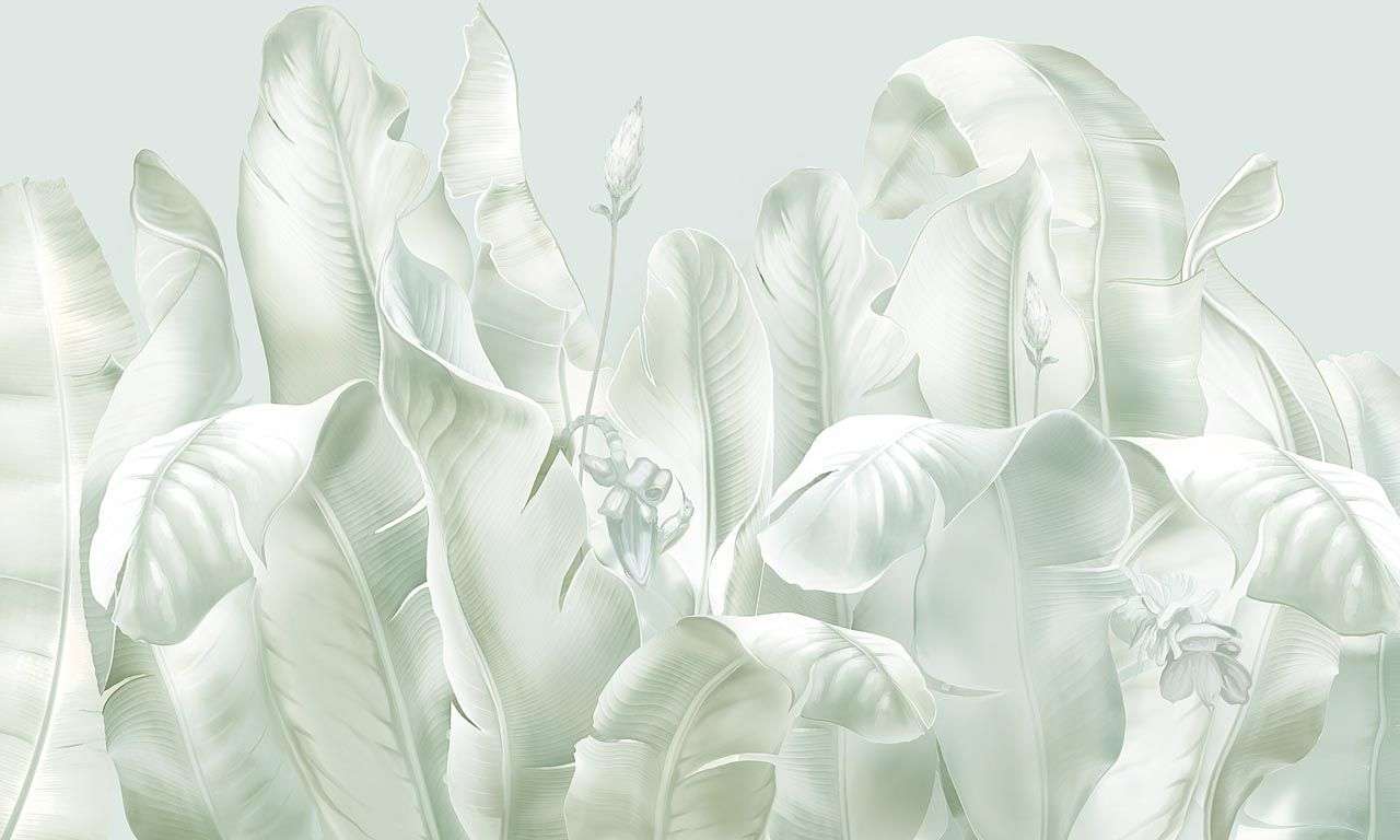 Фотообои в интерьере листья банановой пальмы  13-562 фото