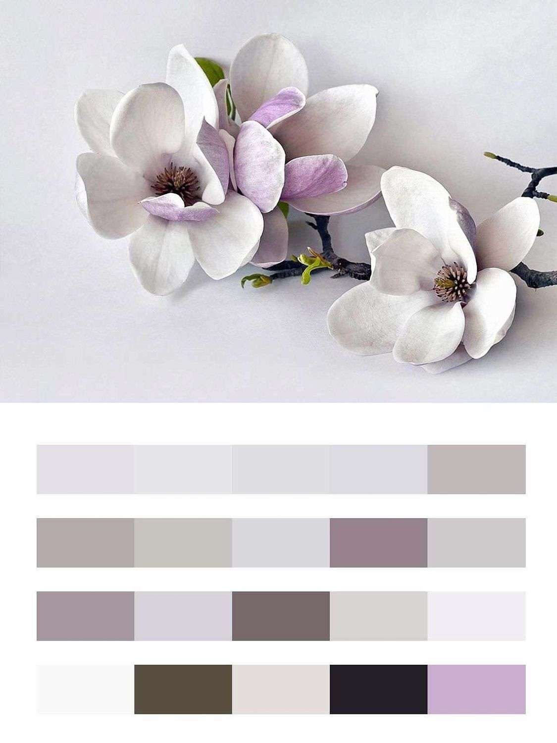 Цветок Магнолии 3д  10-893