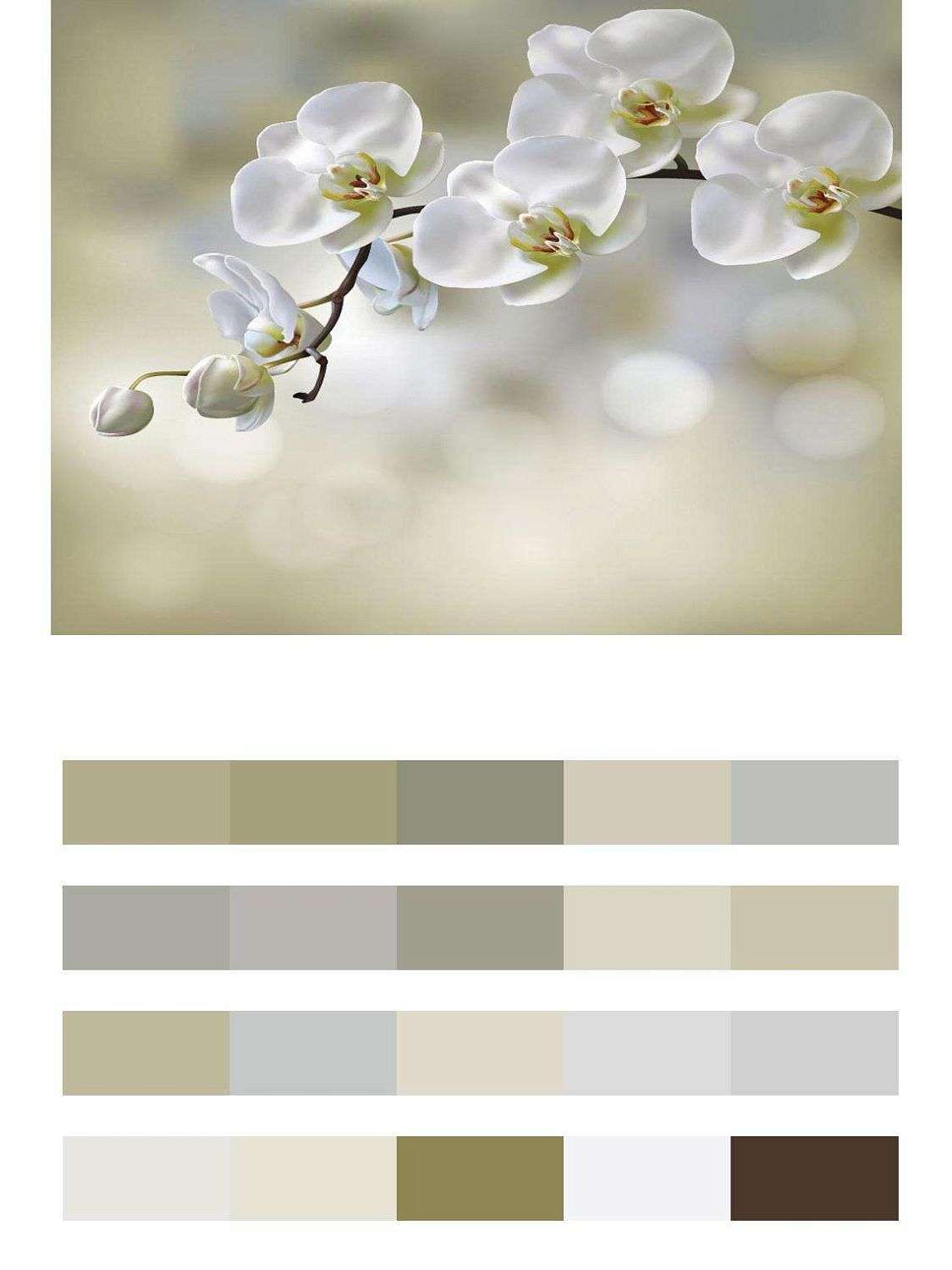 Орхидея на светлом фоне  9-008