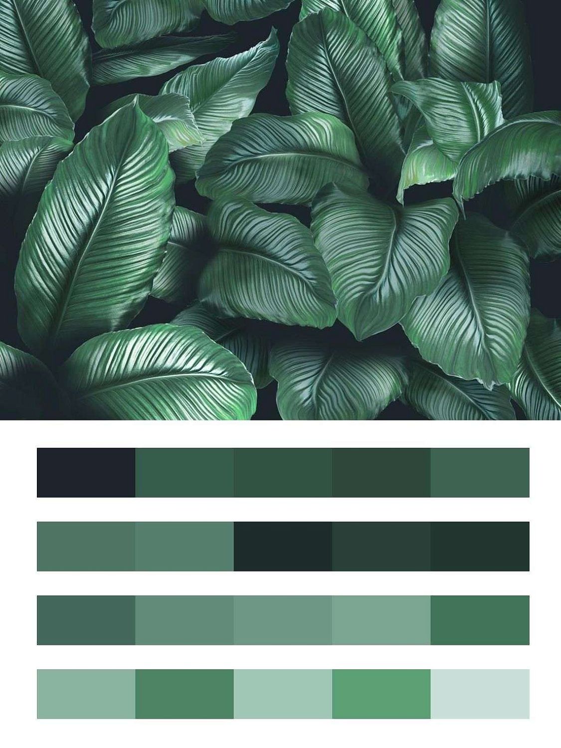 Tropic  13-227