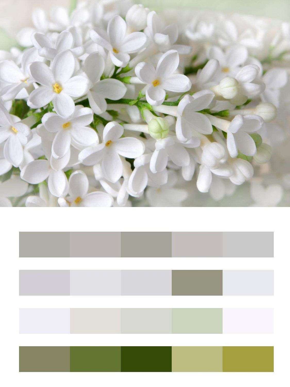 Белая воздушная сирень  9-169