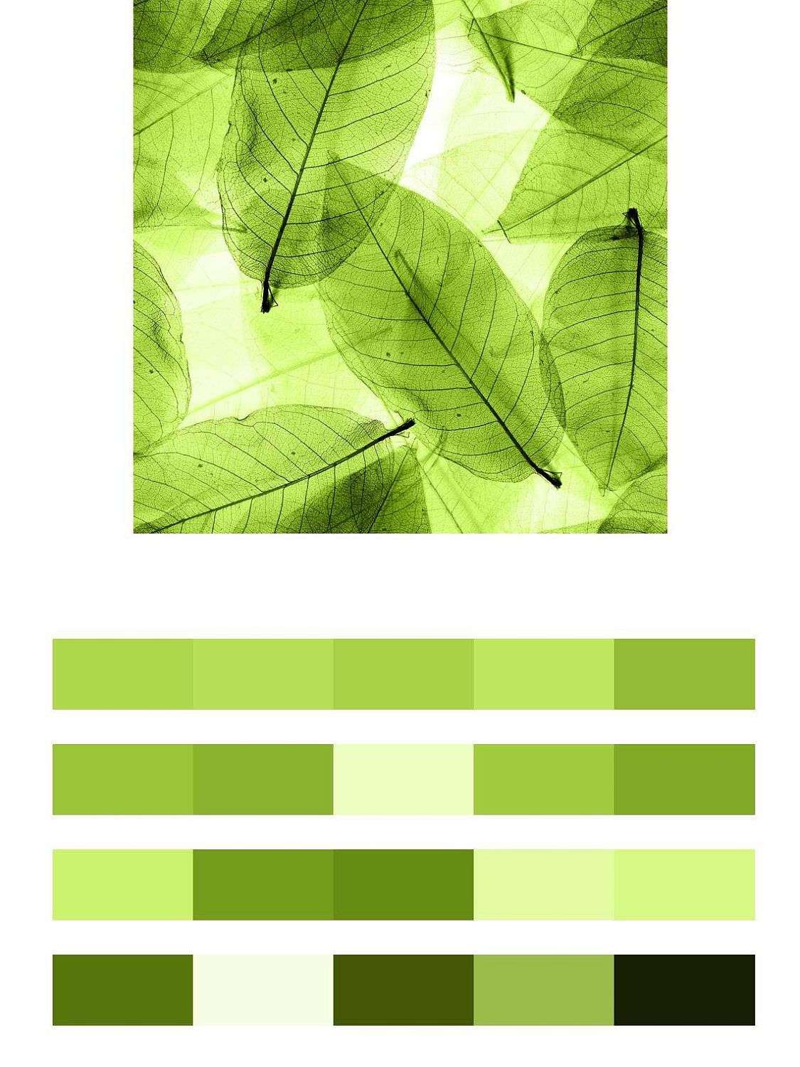 Прозрачная зелень  9-176