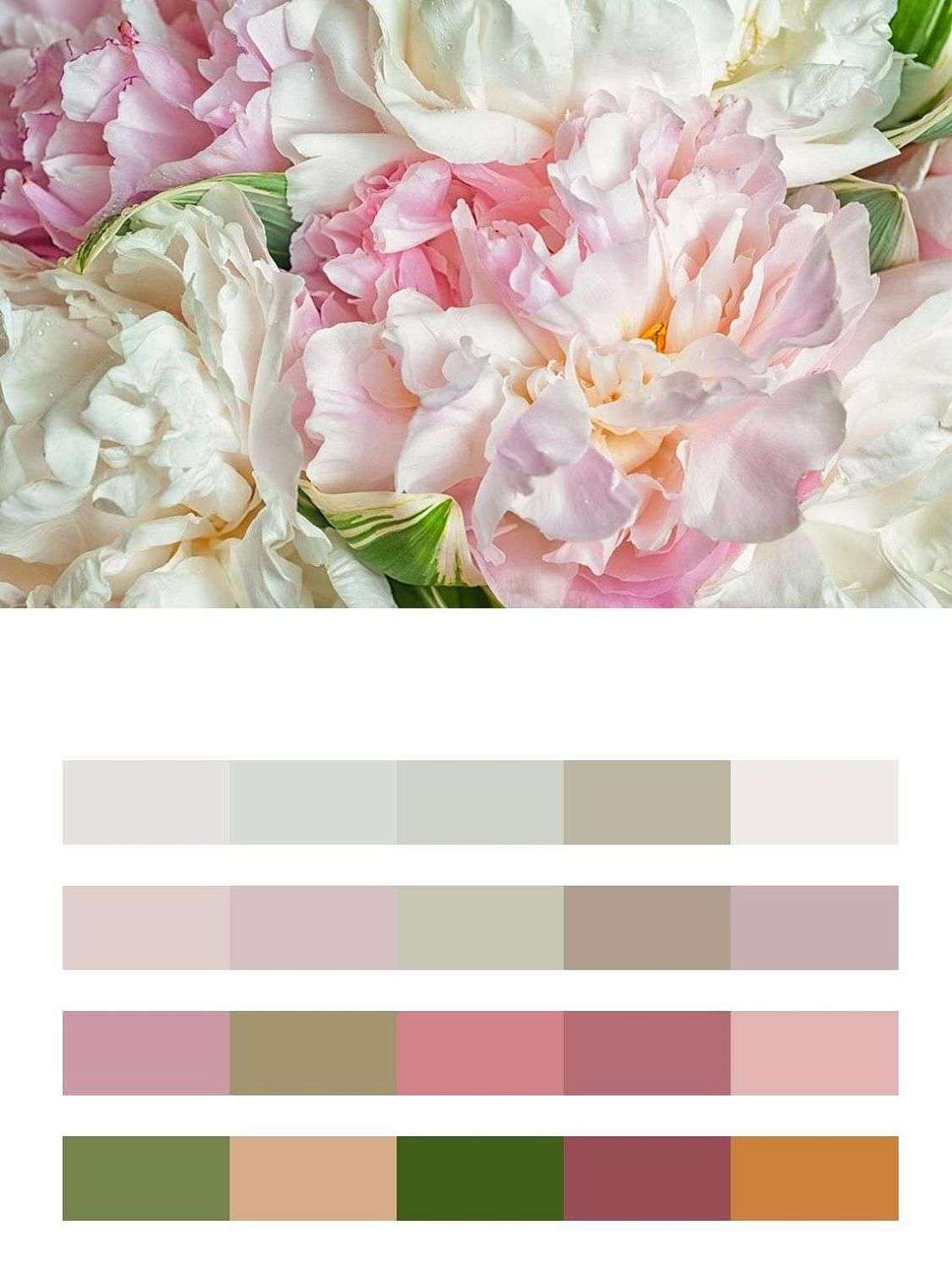 Цветущие пионы  9-1225