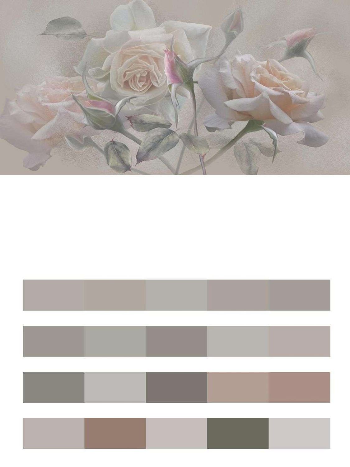 Кустовые розы  13-428