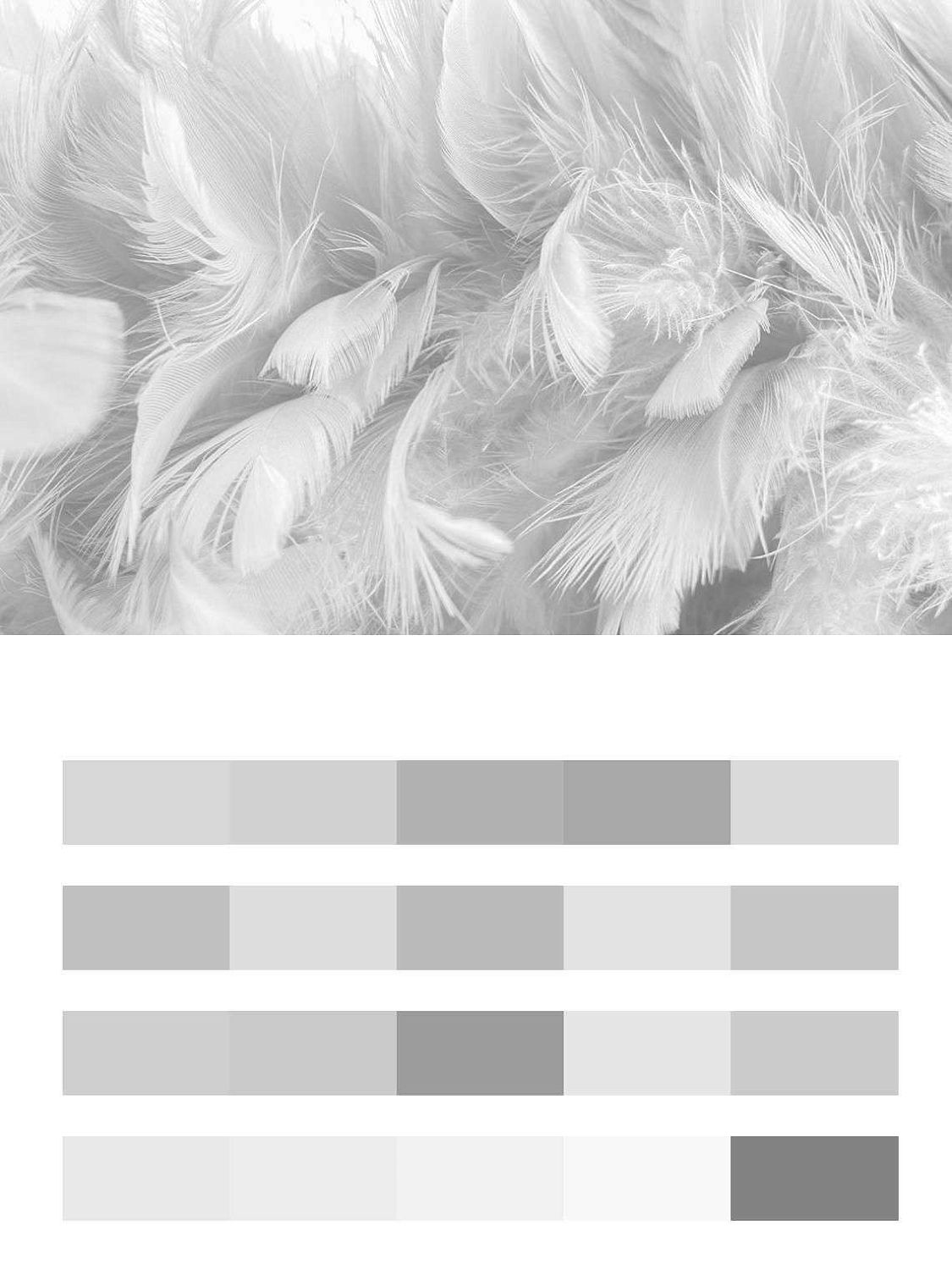 3д Белые перья  10-896