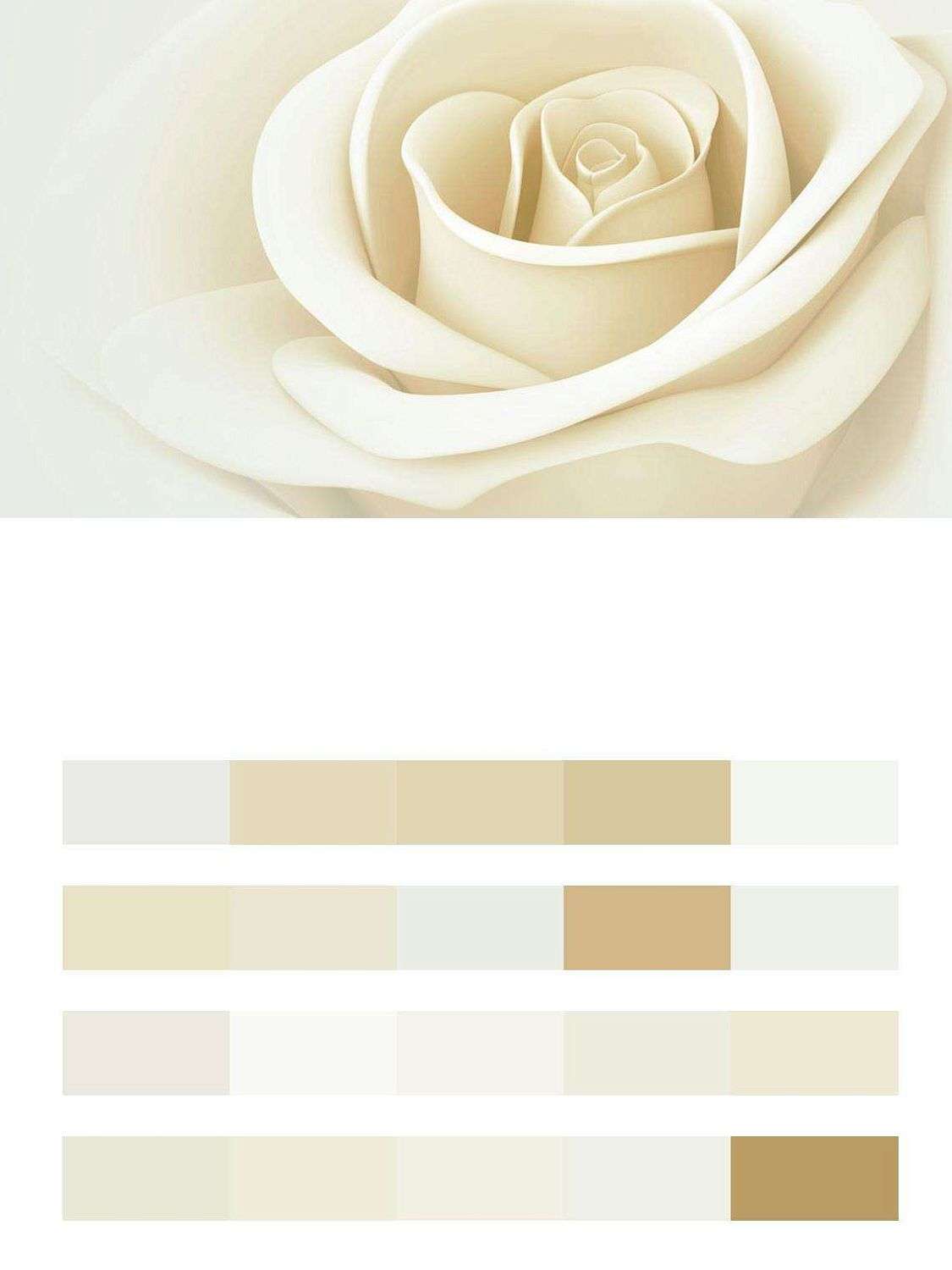 Снежная роза  9-006