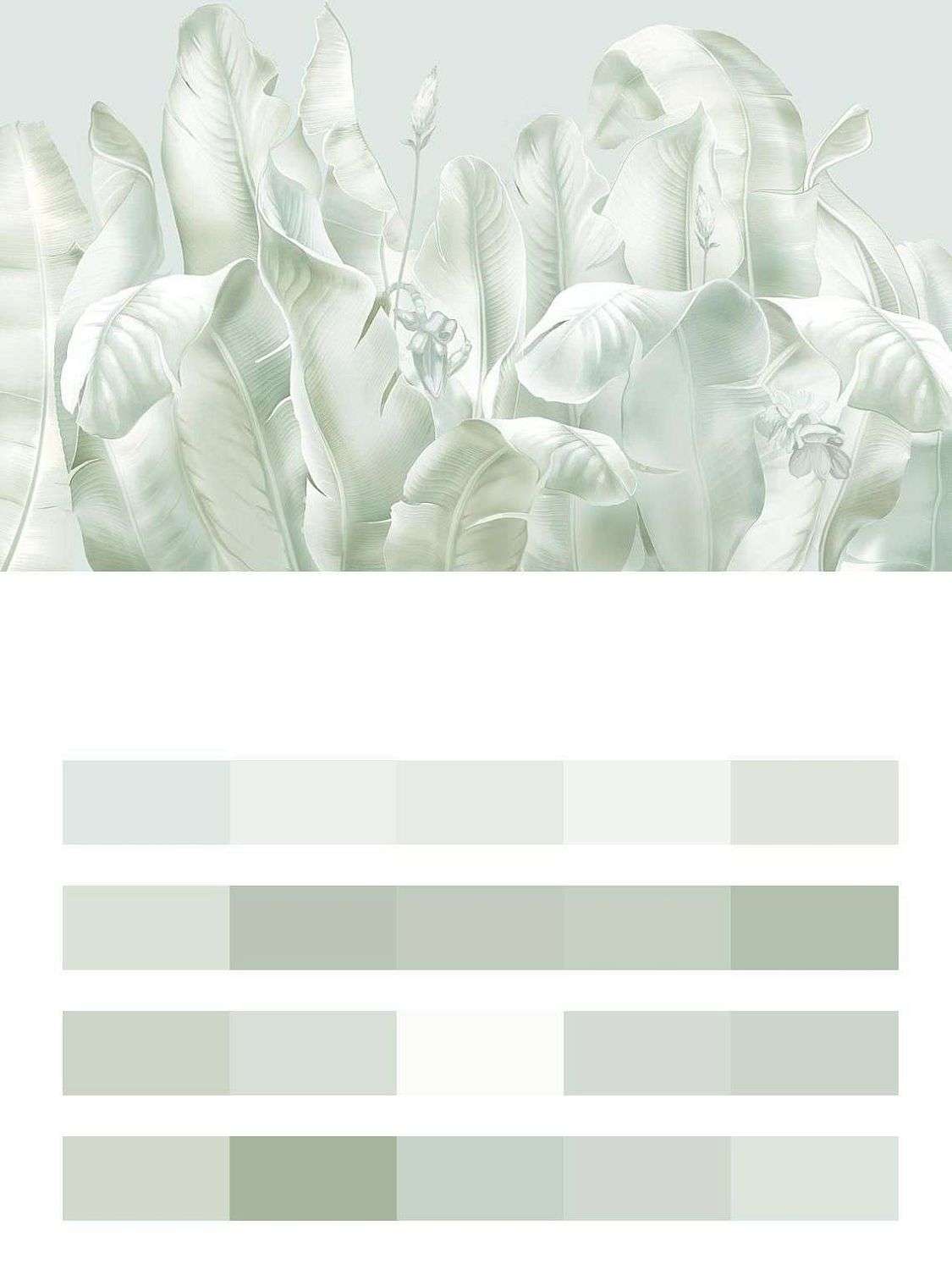 Листья банановой пальмы  13-562