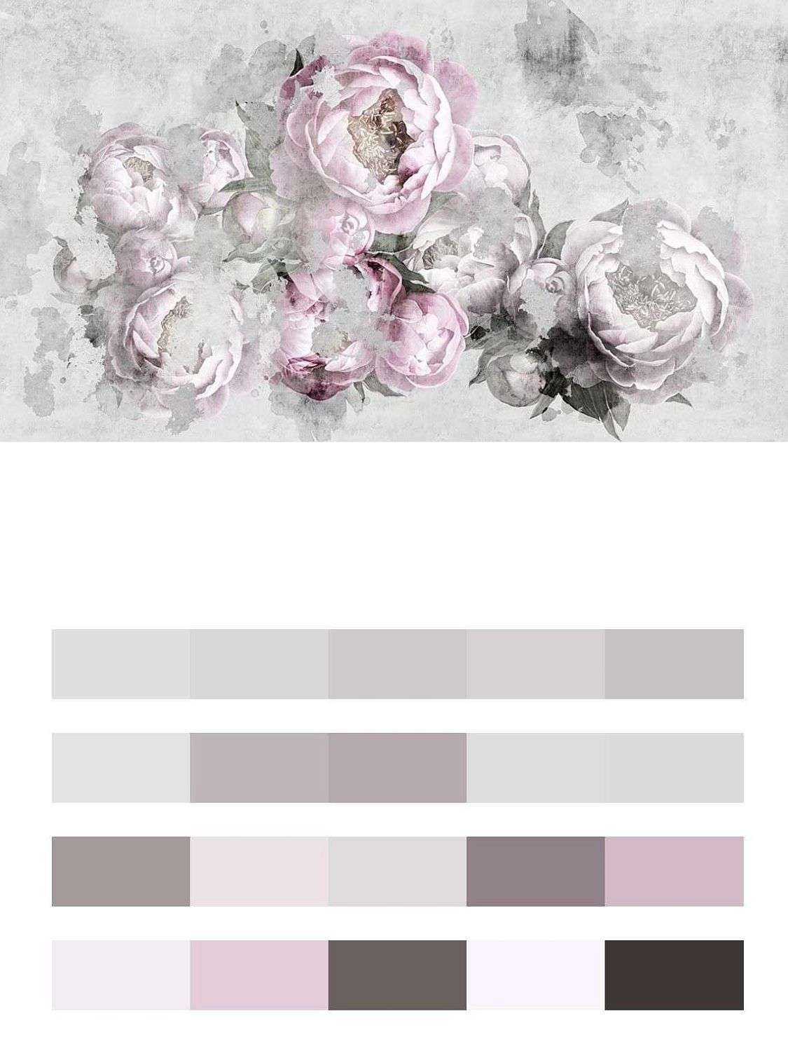 Пионы на сером фоне  9-1605