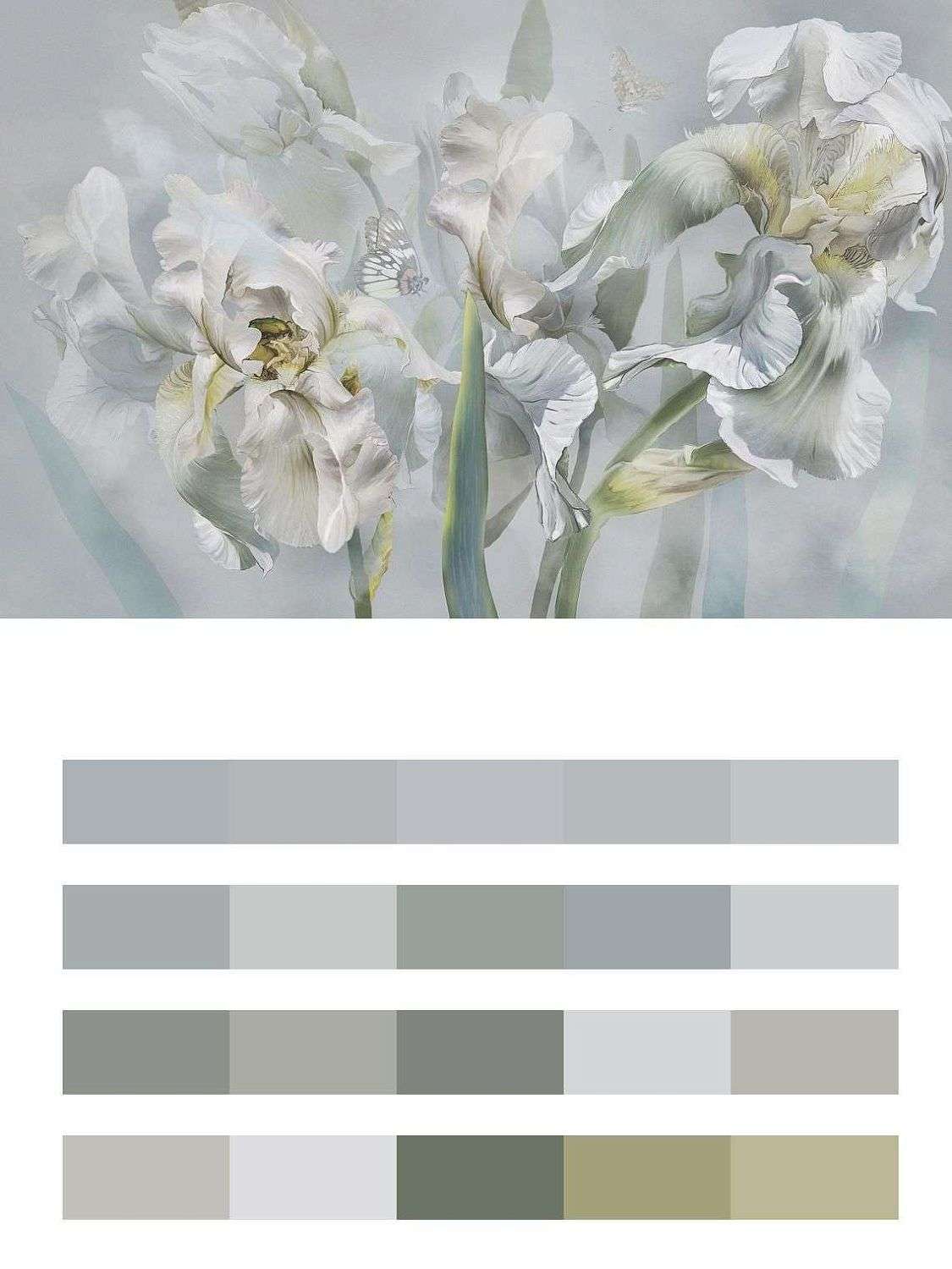Белые ирисы  13-178