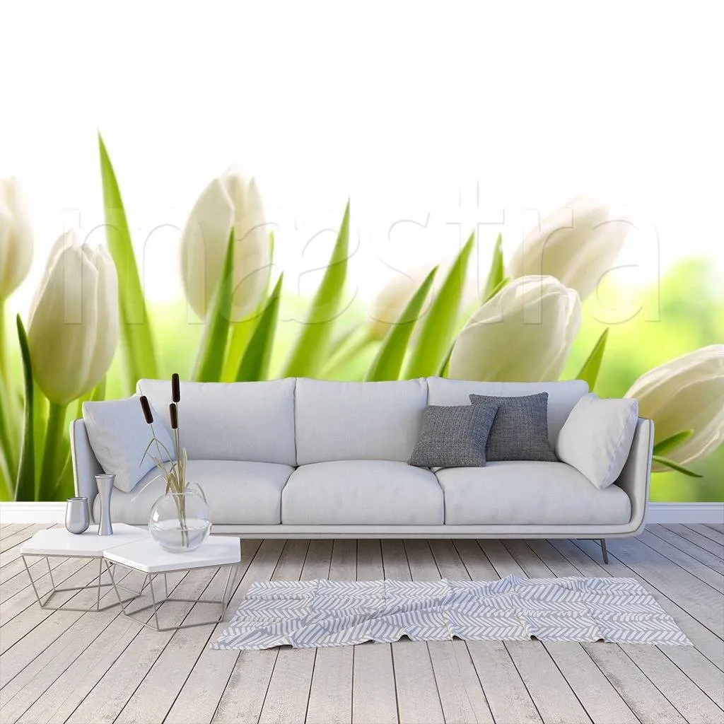 Фотообои Бутоны белых тюльпанов  10-144