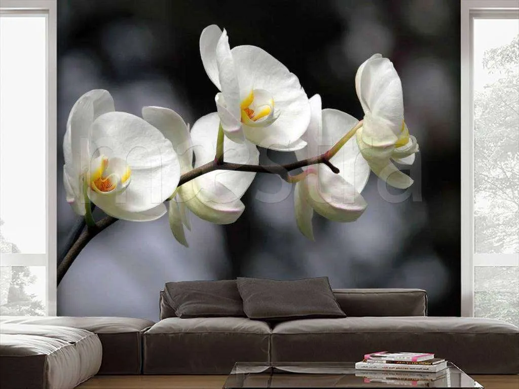 Фотообои Веточка белой орхидеи на сером фоне  10-196