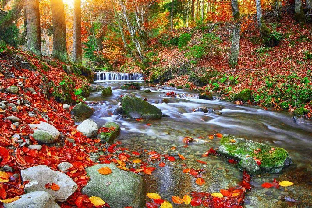 Фотообои в интерьере водопад в карпатах  9-877 фото