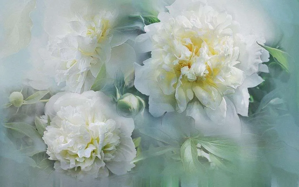 Фотообои в интерьере пион 3д в дымке  13-240 фото