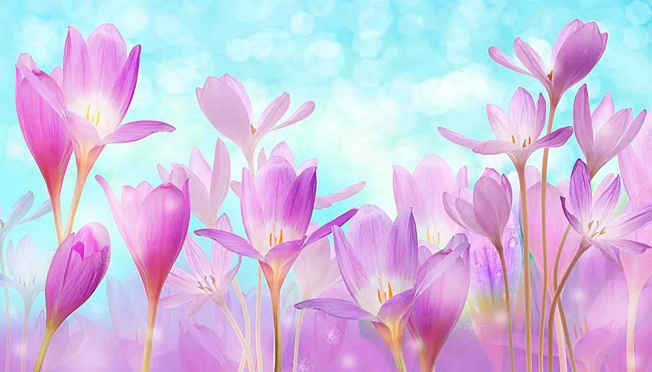 Фотообои в интерьере поляна крокусов  7-358 фото