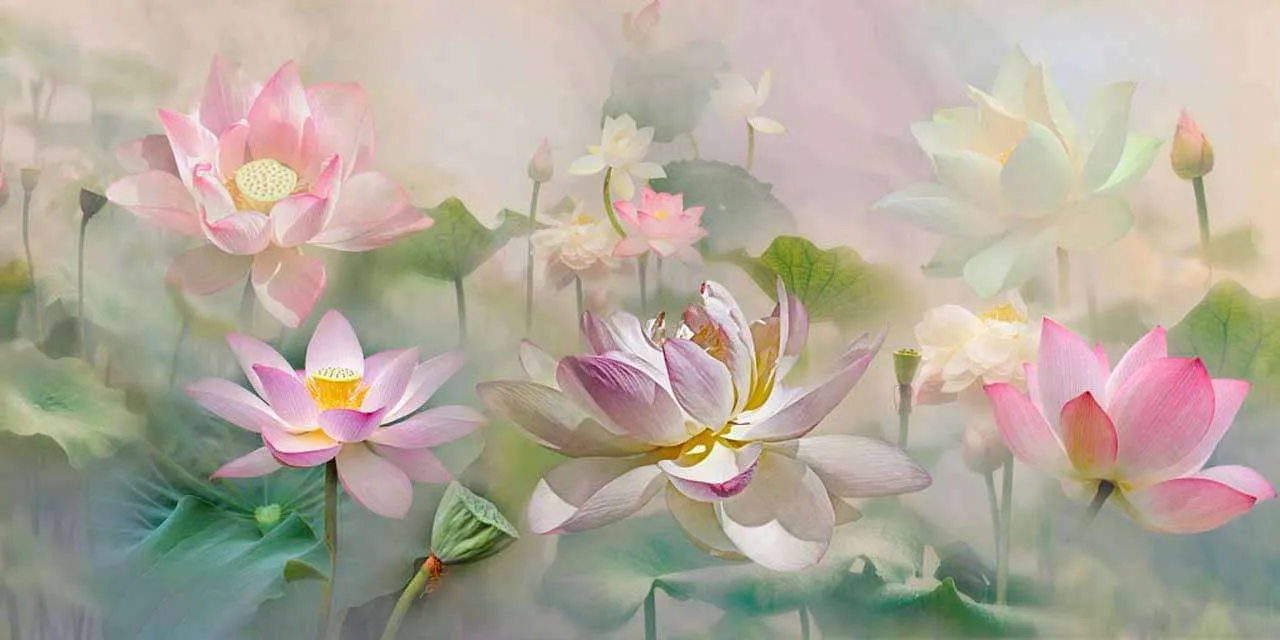 Фотообои в интерьере 3д розовые кувшинки  7-511 фото