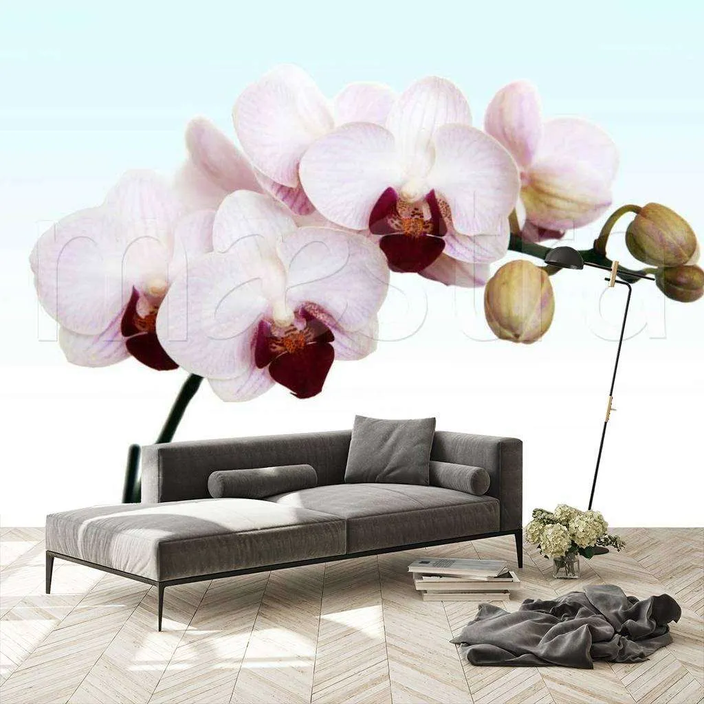 Фотообои в интерьере белая орхидея живописная  10-161 фото
