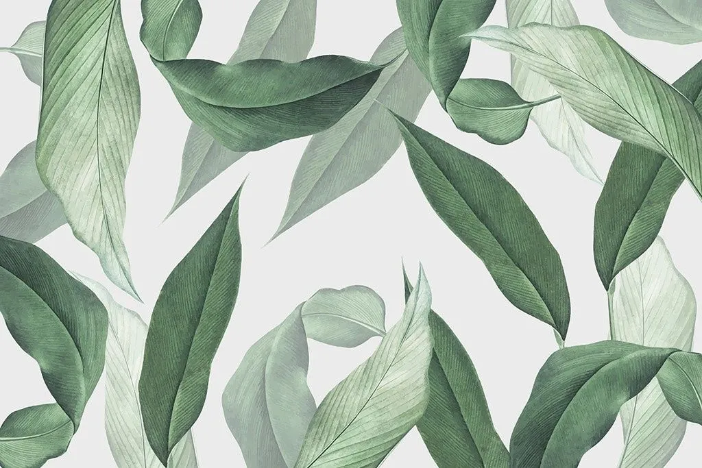 Фотообои в интерьере зеленые лепестки  9-2055 фото