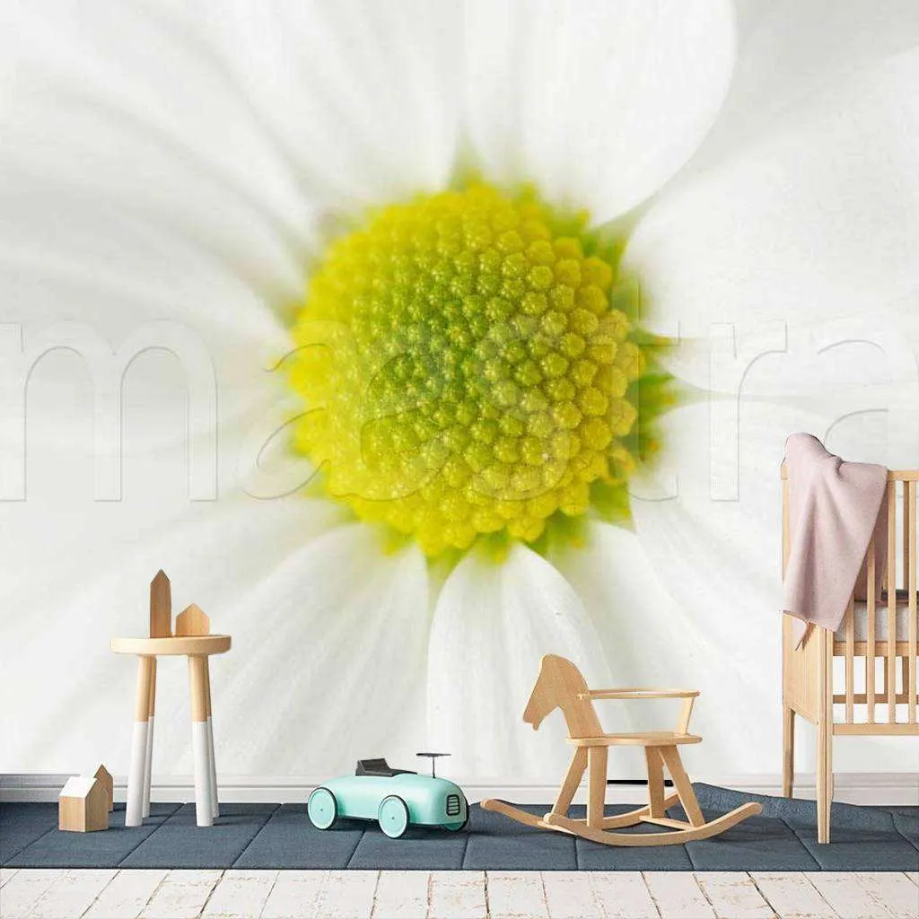 Фотообои Обаятельная ромашка  10-339