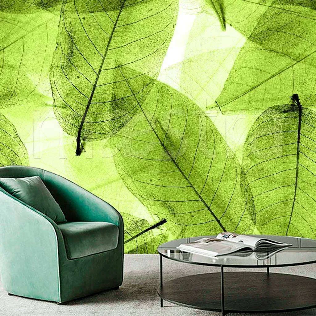 Фотообои Прозрачная зелень  9-176