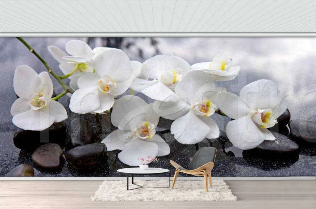 Фотообои Белая орхидея на черном фоне  10-223