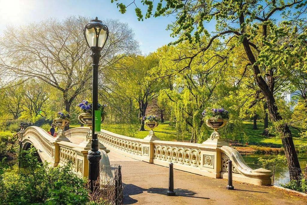 Фотообои в интерьере парк в нью йорке  9-821 фото