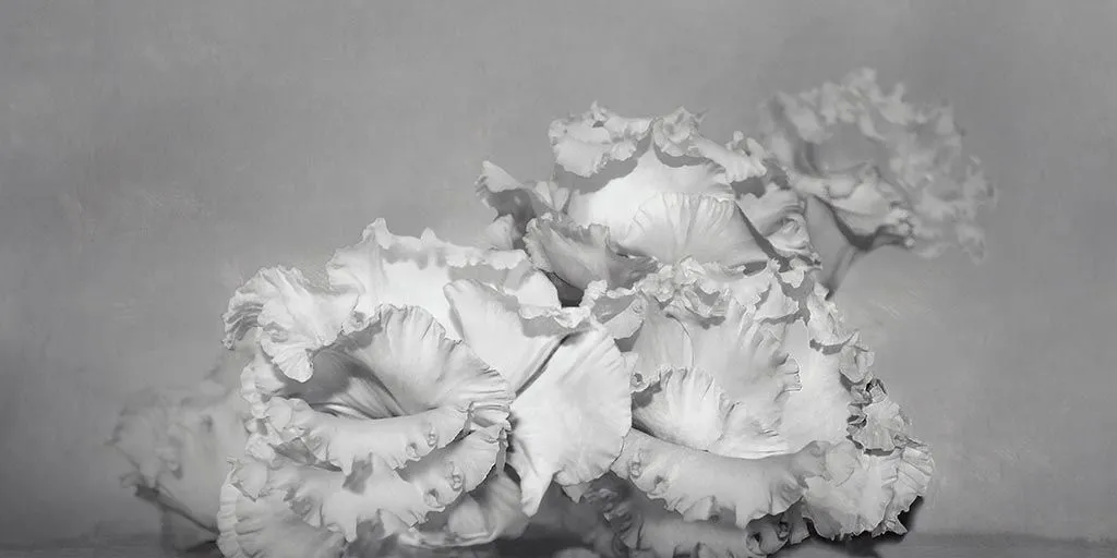 Фотообои в интерьере белые цветы 3д  9-1256 фото