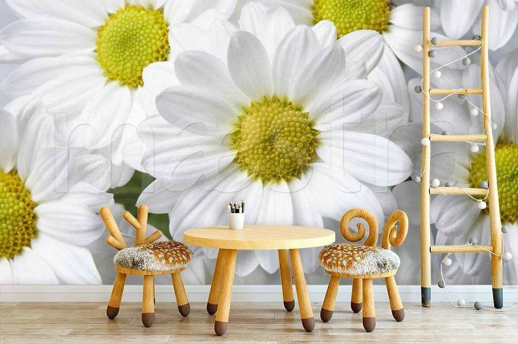 Фотообои Белые лепестки ромашек  10-350