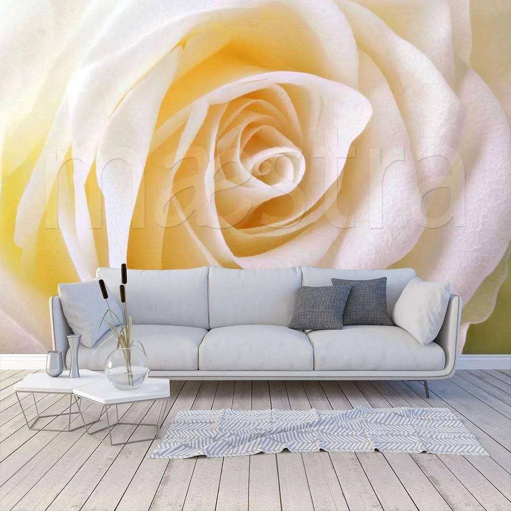 Фотообои Чайная роза роскошная  10-238