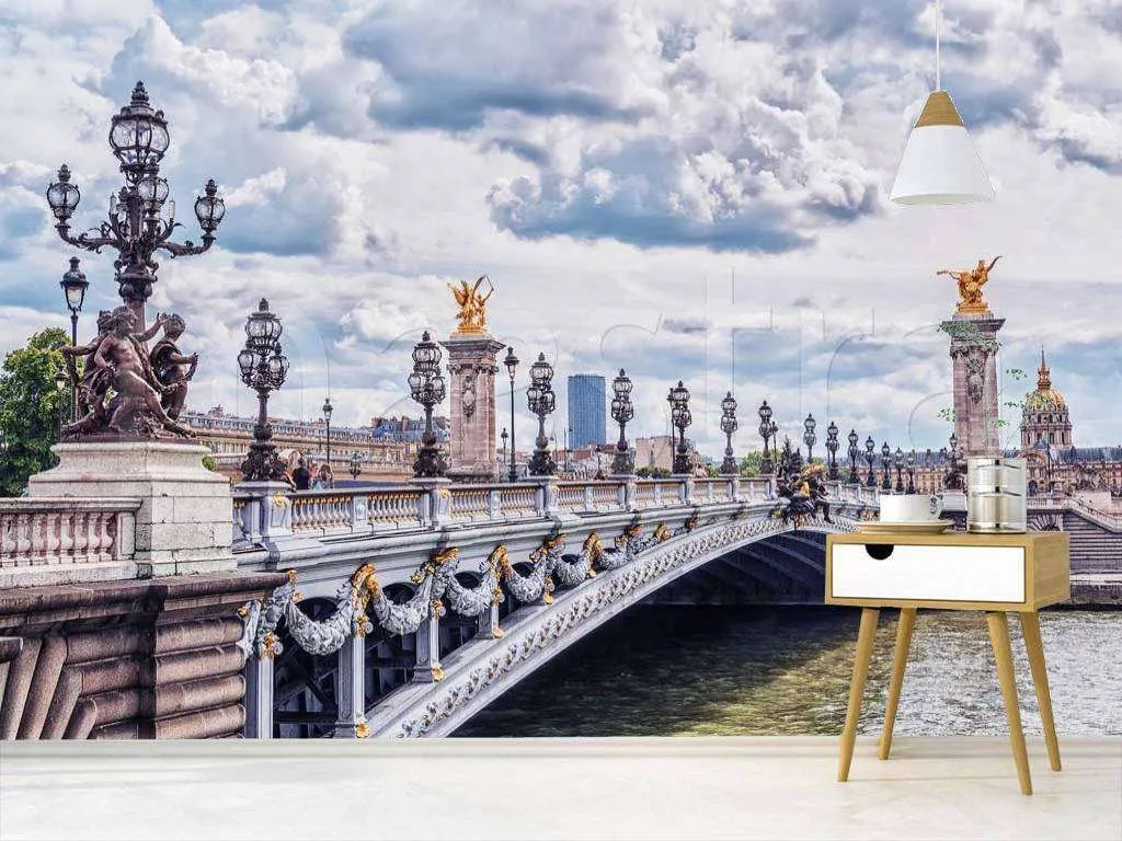 Фотообои в интерьере мост в париже и серое небо  9-769 фото