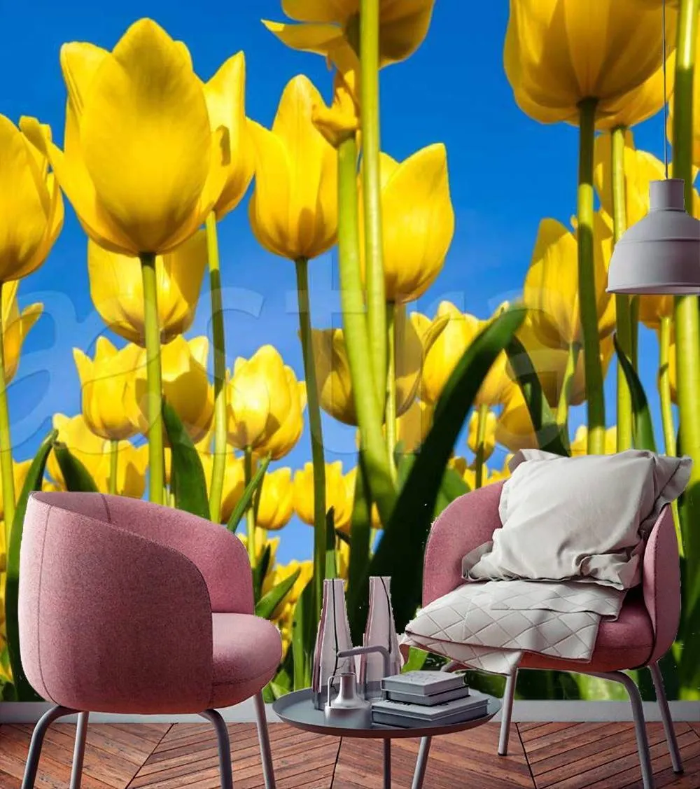 Фотообои Желтые тюльпаны в поле  10-134
