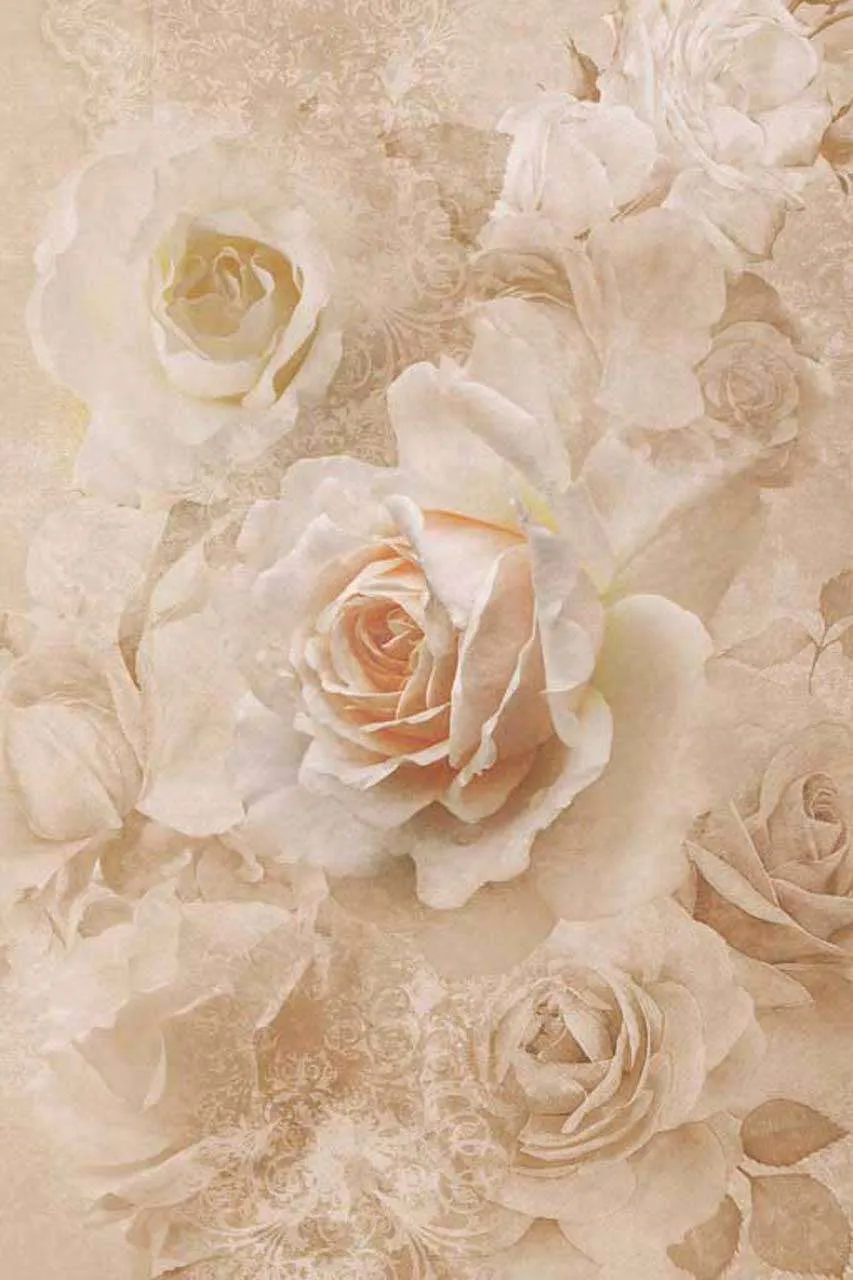 Фотообои в интерьере 3д розы светлые  7-699 фото