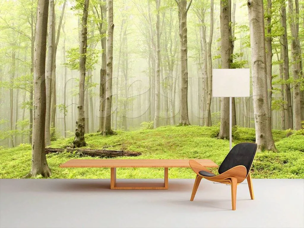 Фотообои в интерьере прозрачный лес  9-177 фото