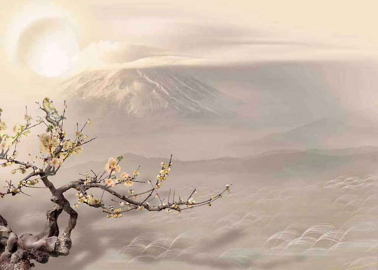 Фотообои в интерьере туманное солнце  7-704 фото